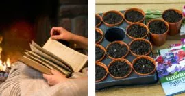 Your Garden Needs you this Autumn!