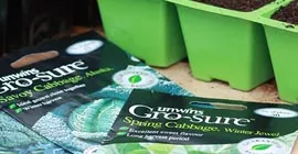Top veg seeds for a winter harvest