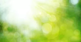 Spring Lawn Care