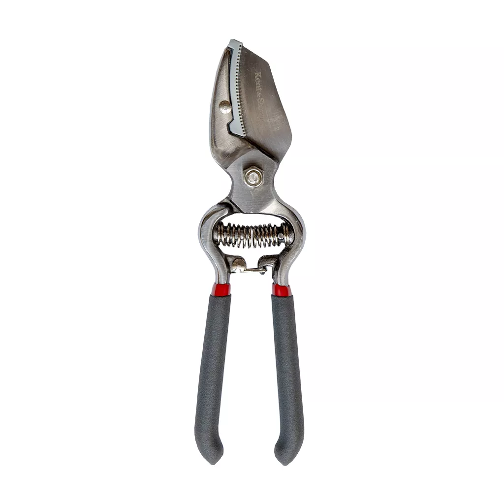 Traditional Anvil Secateurs