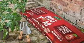 big tom peat free tomato planter lifestyle