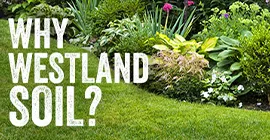 Why Westland Soil?