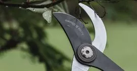 Cutting Tools – Anvil Vs. Bypass Cut