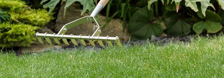 scarifying lawn