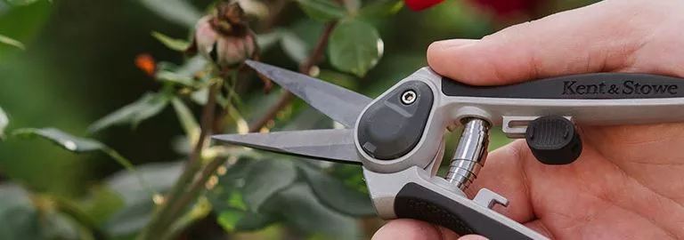 sharp cutting tools
